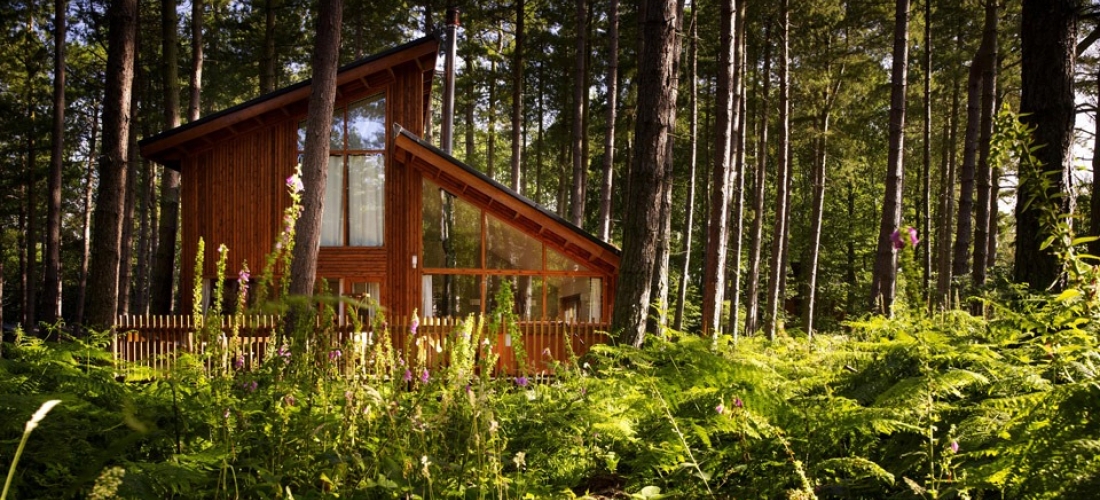 Win a Forest Holidays cabin break in the UK for four Travelscoop
