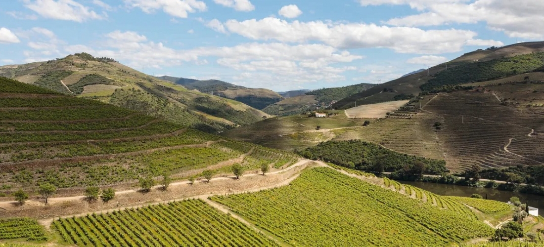 Win a 4-day road trip through the new Porto & North of Portugal wine ...