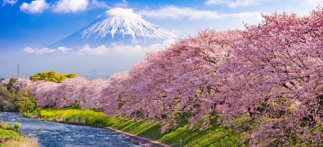 Win two return flights to Japan Travelscoop
