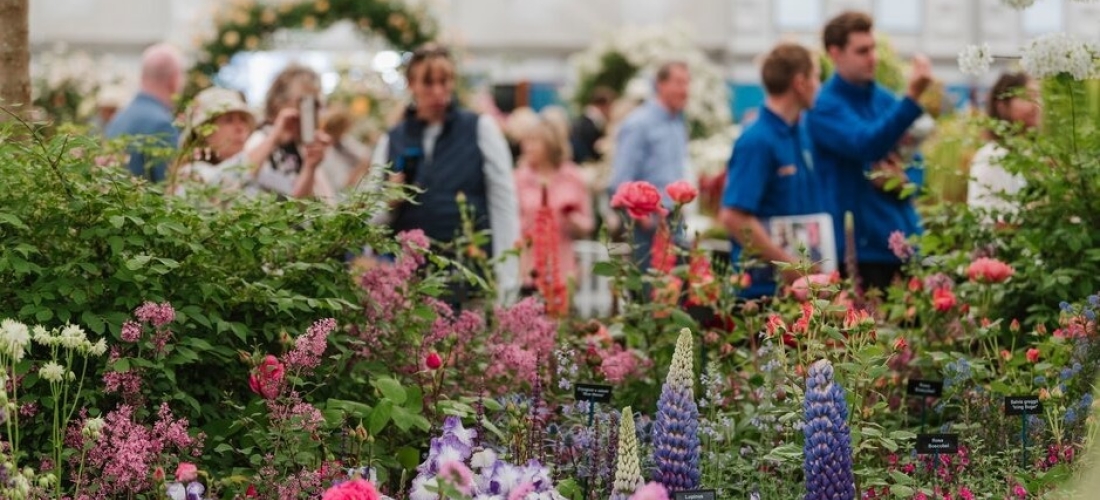 Win Tickets To The RHS Chelsea Flower Show 2023 & An Overnight Stay ...